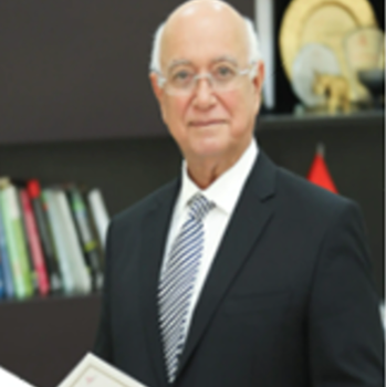 الدكتور حسام حمدي